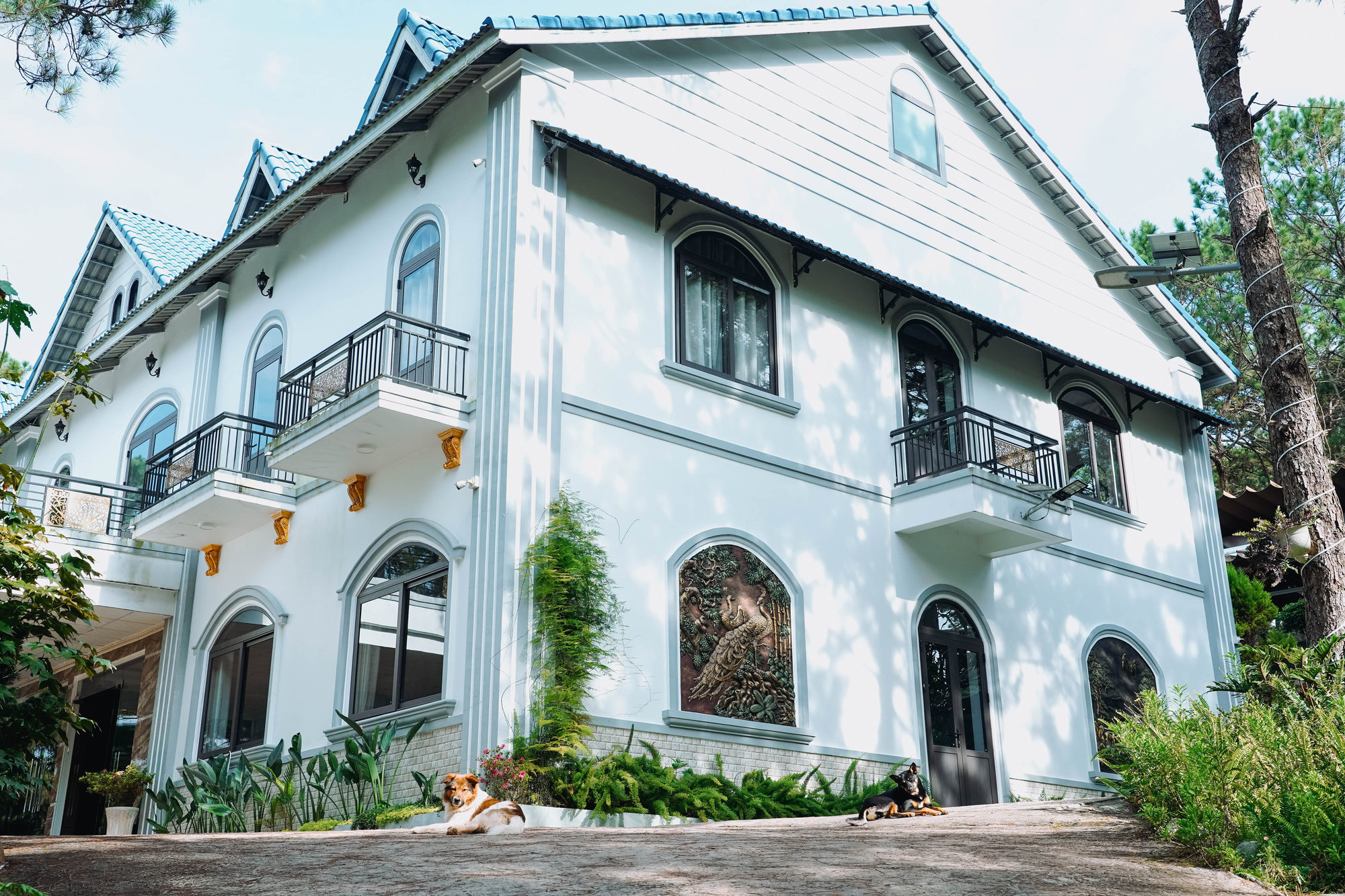 Kiến trúc villa GIA AN – ảnh 1